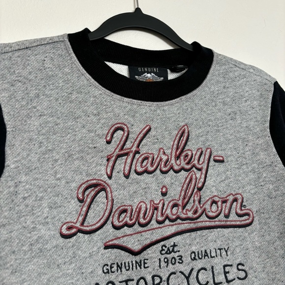 Harley-Davidson Women's Script Font Colorblock Pullover Sweatshirt Size Medium - Picture 5 of 11